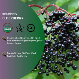 Worldwide Botanicals elderberries gummy-ingredient for natural treats.
