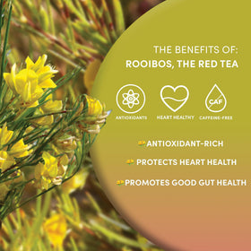 Worldwide Botanicals Rooibos loose-leaf tea close-up of cut-and-sift is premium