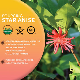 Worldwide Botanicals star anise in potpourri adds beauty and a subtle fragrance