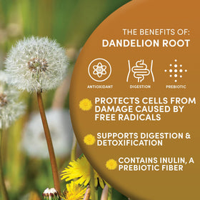 Worldwide Botanicals wild harvested dandelion roots from Asian meadows.