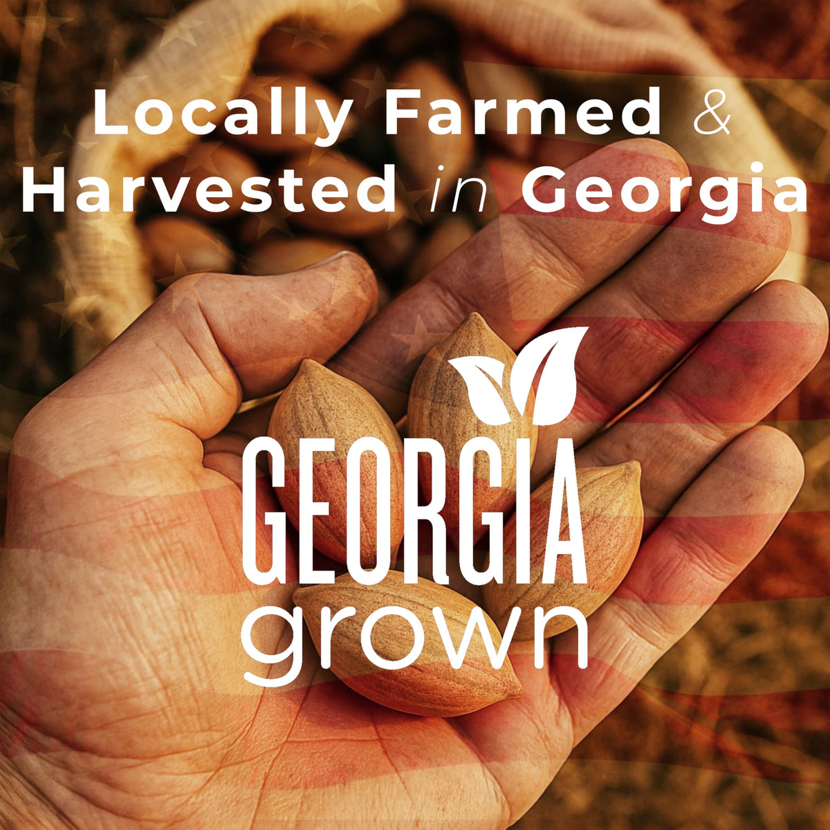 Worth Pecan Company Georgia-grown pecan halves highlighting buttery flavor and freshness