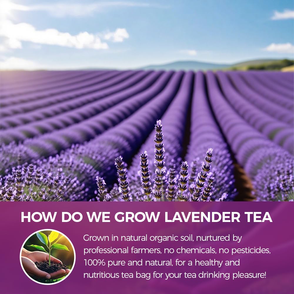 WOTIHA DIY Beauty Lavender Powder for masks and bath products