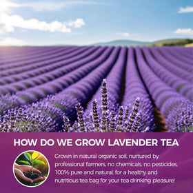 WOTIHA DIY Beauty Lavender Powder for masks and bath products