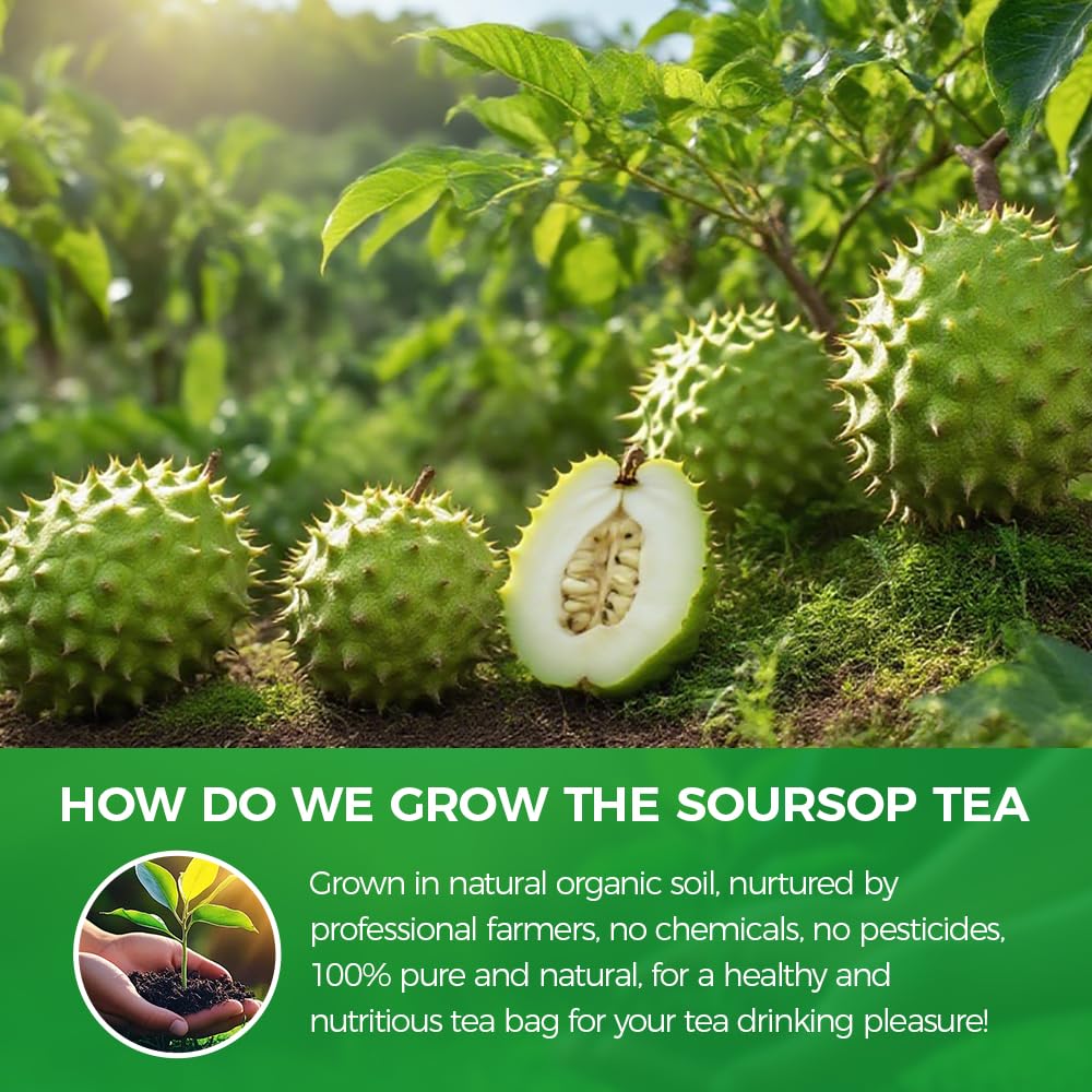 WOTIHA wildcrafted Guanabana leaves from sustainable farms