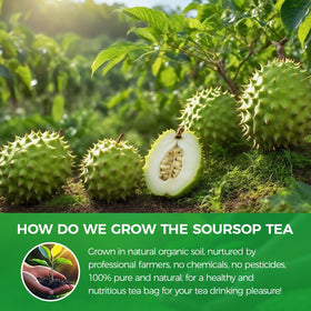 WOTIHA wildcrafted Guanabana leaves from sustainable farms