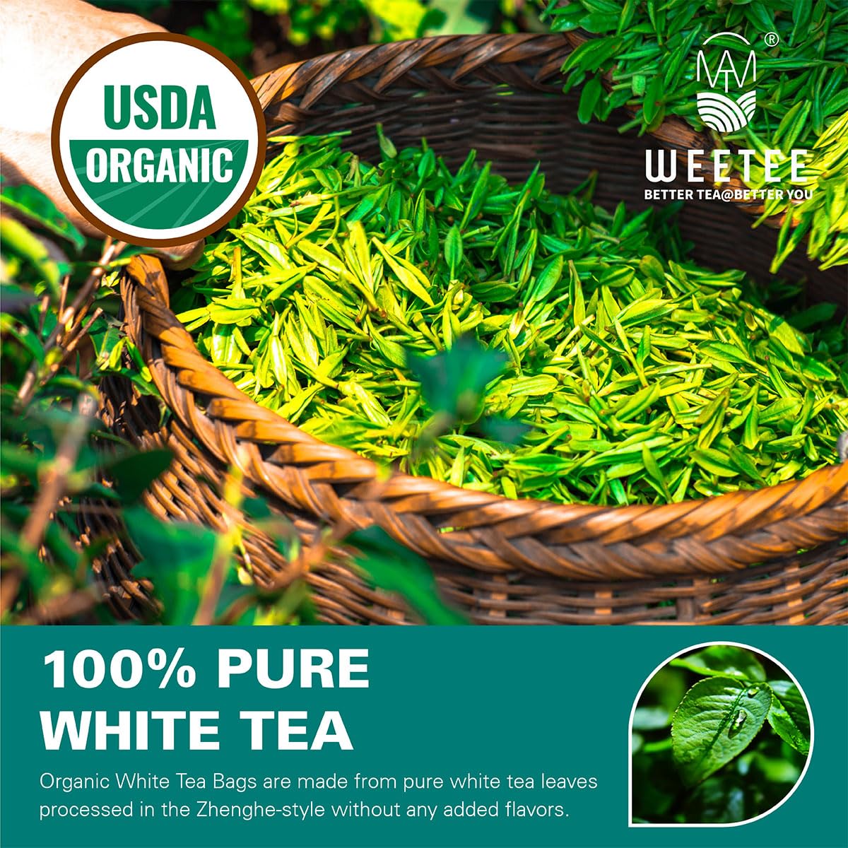 Young tea leaves and buds create a light, mellow flavor.