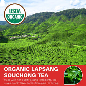 WT WEETEE Antioxidant rich tea image captures polyphenols for daily sipping