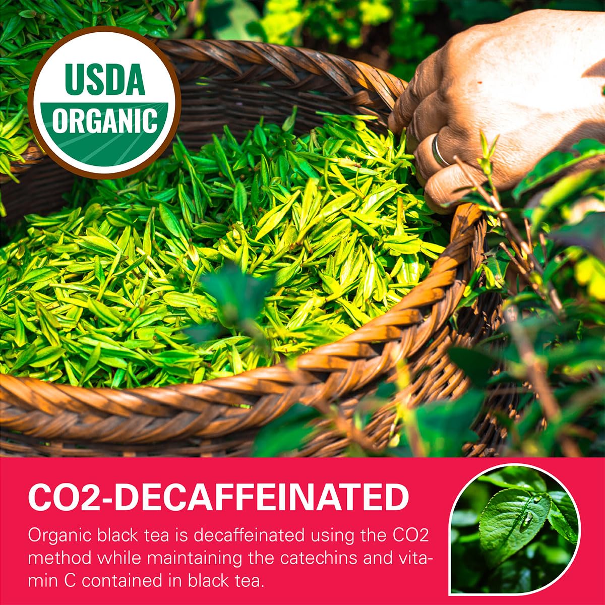 CO2 decaffeination label showing preserved flavor and antioxidants