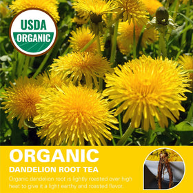 WT WEETEE organic roasted dandelion roots with natural nutrients