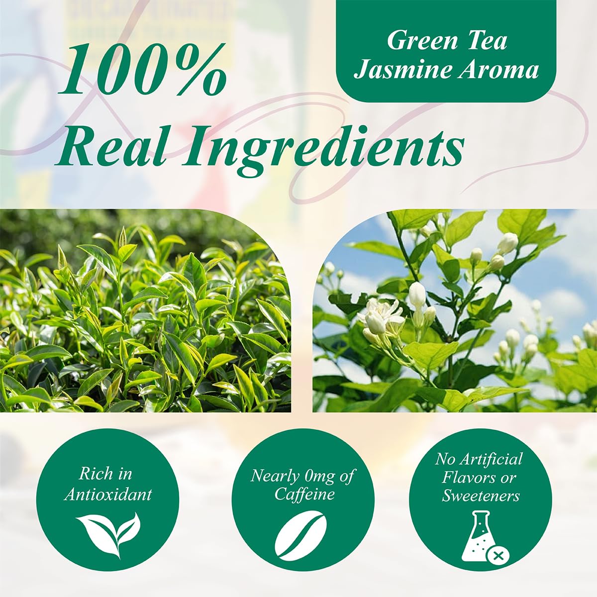 WT WEETEE decaf jasmine loose leaves revealing delicate aroma for evening sipping