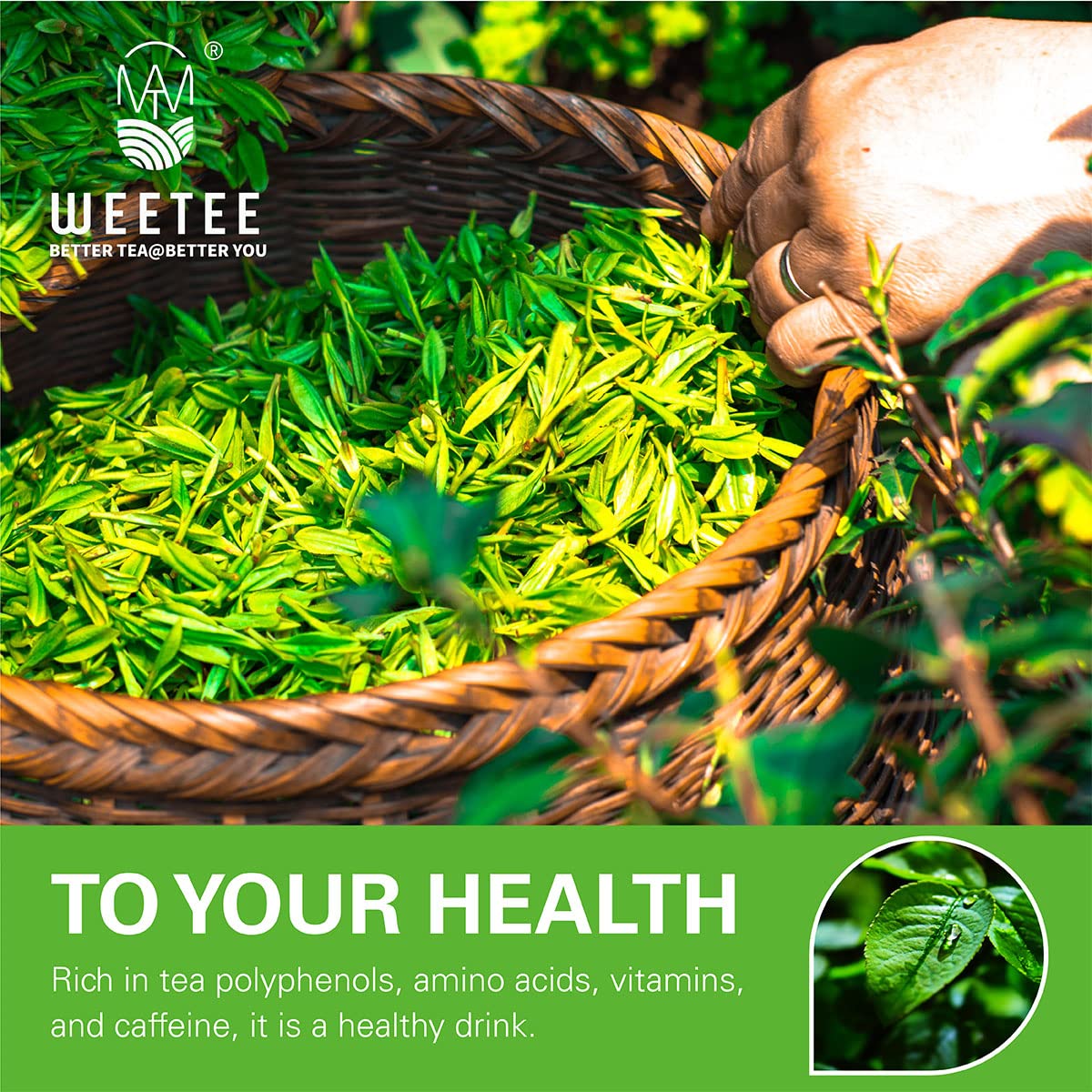 WT WEETEE tea bags close-up showing unbleached material and natural packaging.
