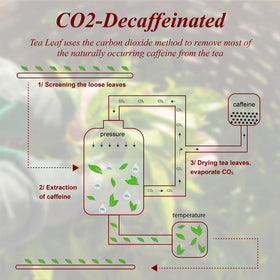 WT WEETEE CO2 decaffeination process preserves bold notes for a smooth cup