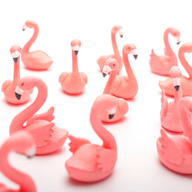 X Hot Popcorn flamingo home decor accents add playful charm to gatherings