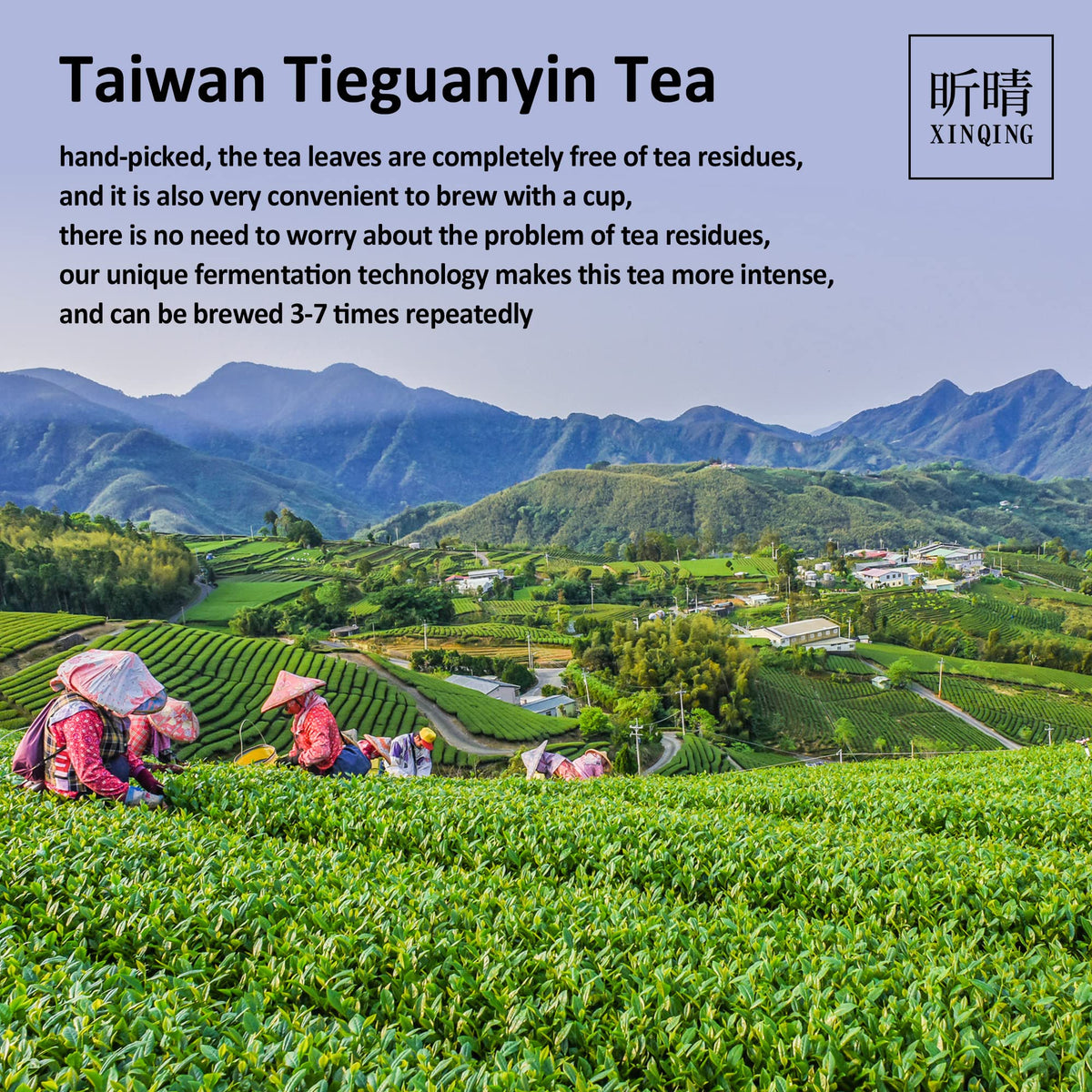 Xin Qing aluminum foil packaging keeps tea fresh while traveling.