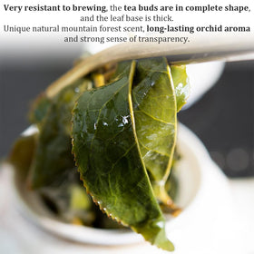 Gift-pack presentation of XIXICHA Dayuling Oolong Tea for tea lovers.