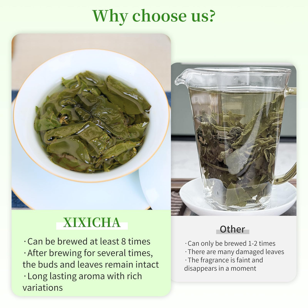 XIXICHA Dongding green leaves and red-border display with premium oolong character.