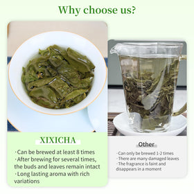 XIXICHA Dongding green leaves and red-border display with premium oolong character.