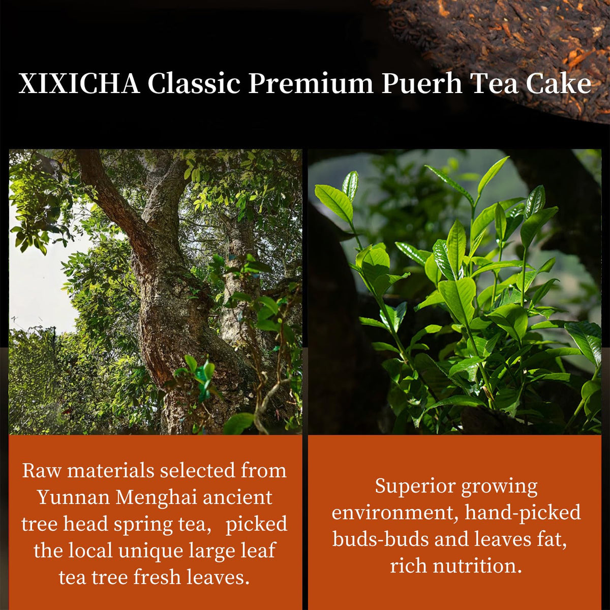 XIXICHA Puerh tea cake handmade processing highlights authentic flavor for discerning sippers.