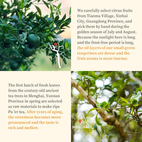 XIXICHA Small green tangerine Pu-erh on display, ideal for mindful tea rituals.