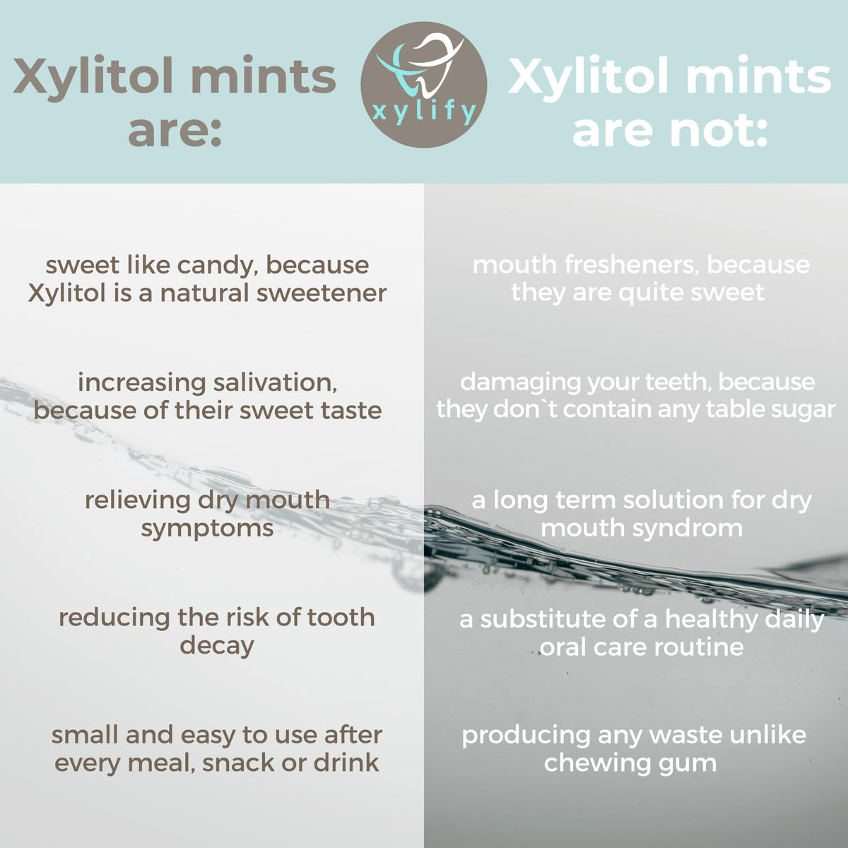 Xylify Happy Teeth Mints 100 percent xylitol sweetened and sugar free