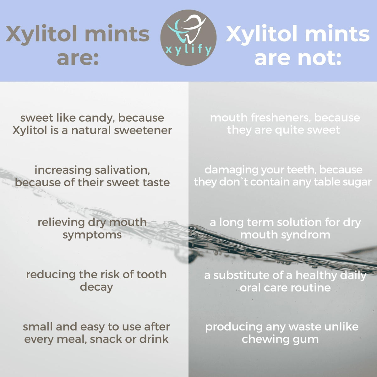 Xylify Happy Teeth mints with natural wild berries flavor and label close-up.