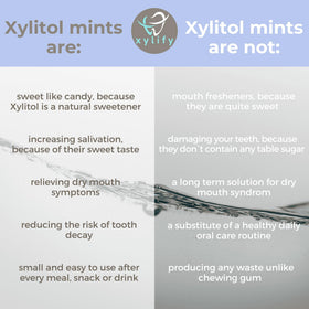 Xylify Happy Teeth mints with natural wild berries flavor and label close-up.