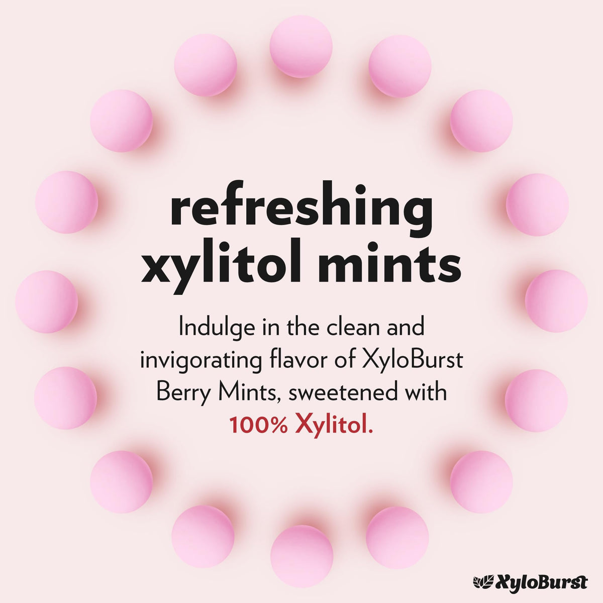 Xyloburst Berry Mints bag close-up with vegan and gluten-free labeling