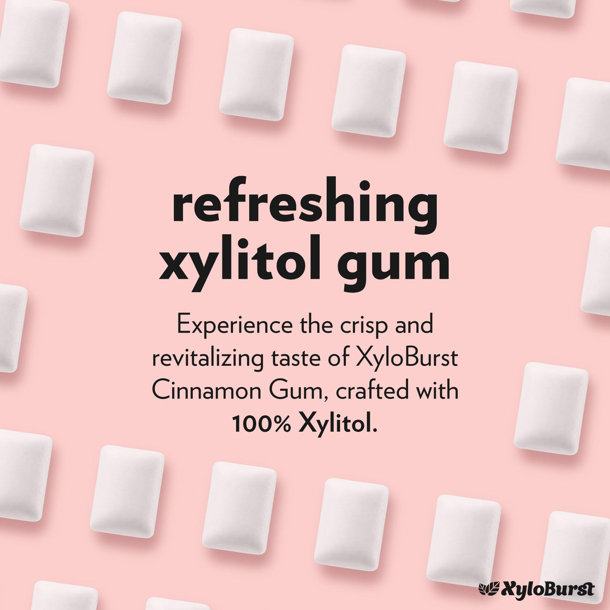 XyloBurst Cinnamon gum bag open showing 500-count supply