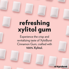 XyloBurst Cinnamon gum bag open showing 500-count supply