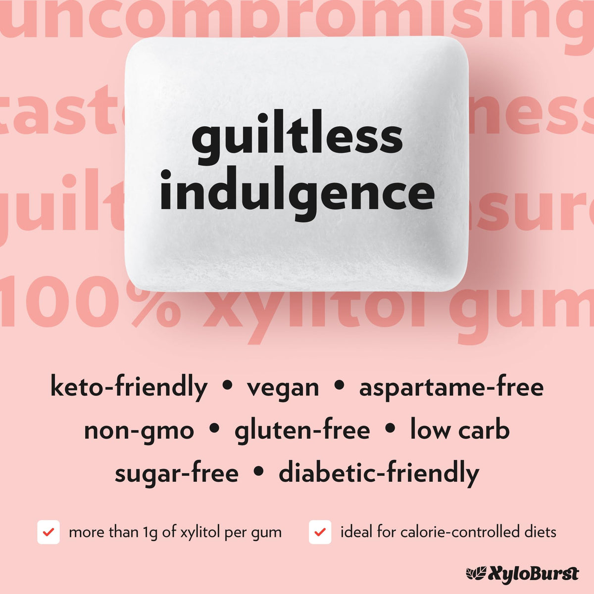 XyloBurst Cinnamon gum pocket-size package for on-the-go freshness