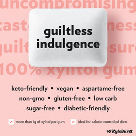 XyloBurst Cinnamon gum pocket-size package for on-the-go freshness