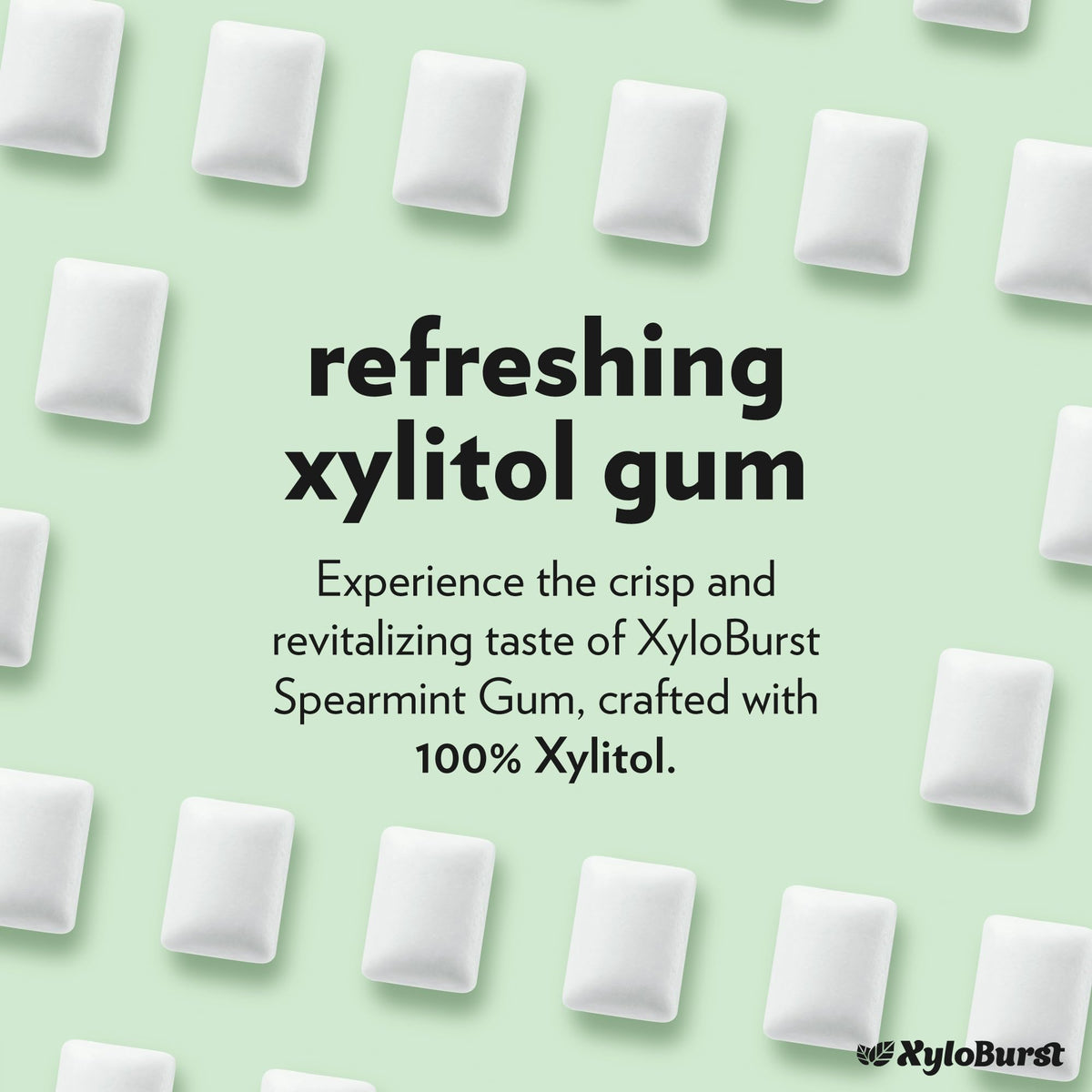 XyloBurst gum piece closeup highlighting xylitol-rich formula for dental support.