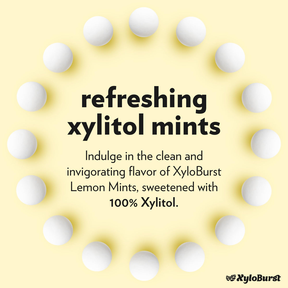 Close-up of Xyloburst Lemon Mints highlighting texture and aroma