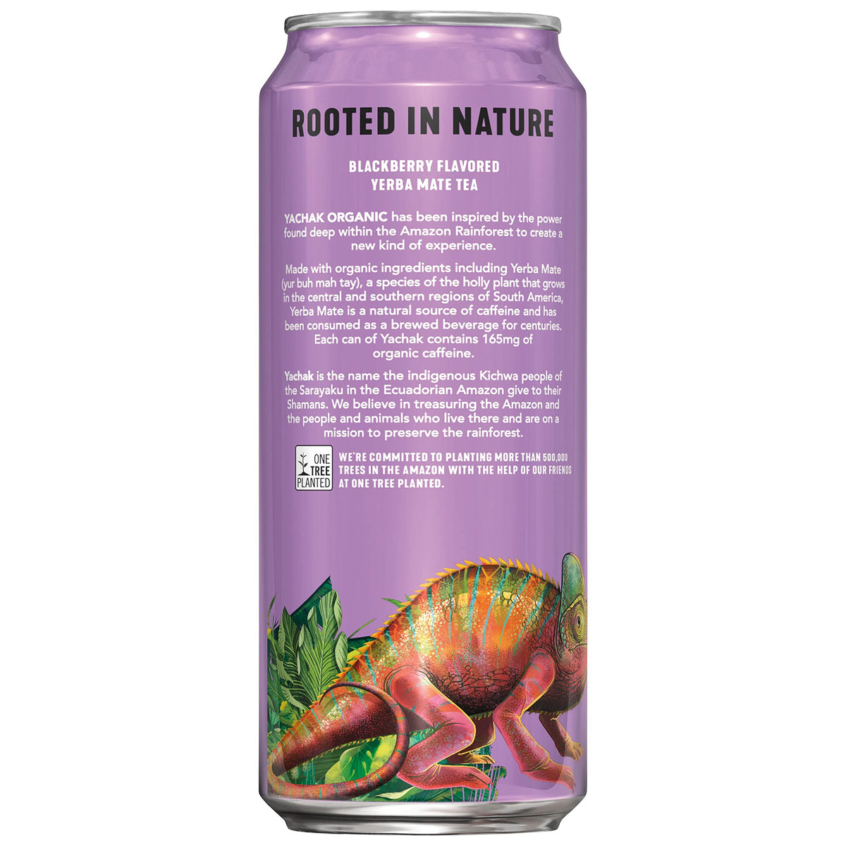 Side view of Yachak Blackberry Yerba Mate can showcasing organic color for a caffeine lift.