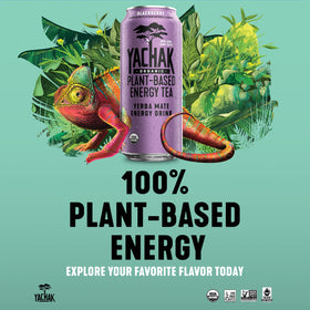 Pack of 12 Yachak Blackberry Yerba Mate cans ready for sharing or on-the-go refreshment.