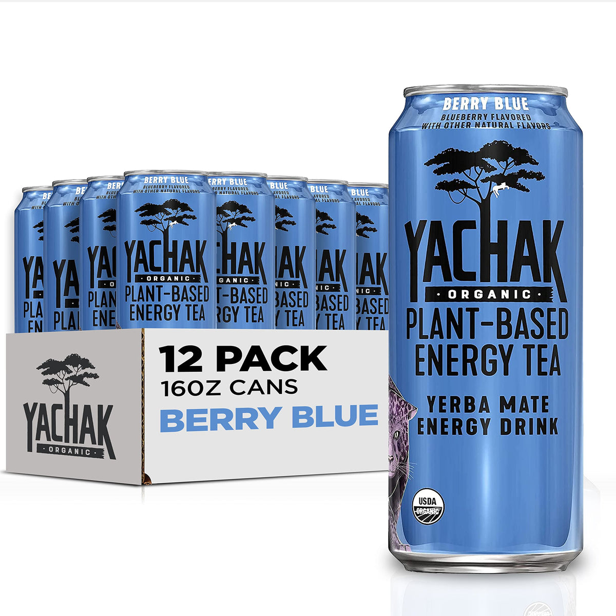 Yachak Berry Blue yerba mate can view highlighting natural caffeine for steady energy.