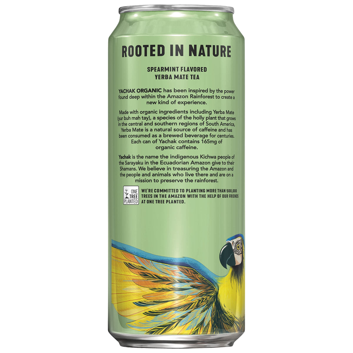 Yachak yerba mate Ultimate Mint 12-pack display for convenient daily use