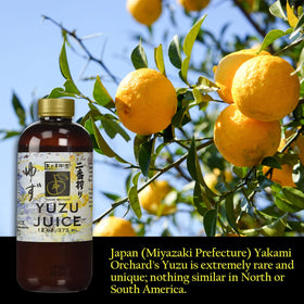 Yakami Orchard Yuzu juice being poured into a glass to savor aroma