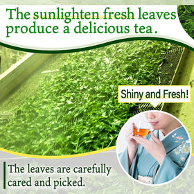 YAMASAN KYOTO UJI 100g packaging reflects compact, ready-to-use loose leaf tea.