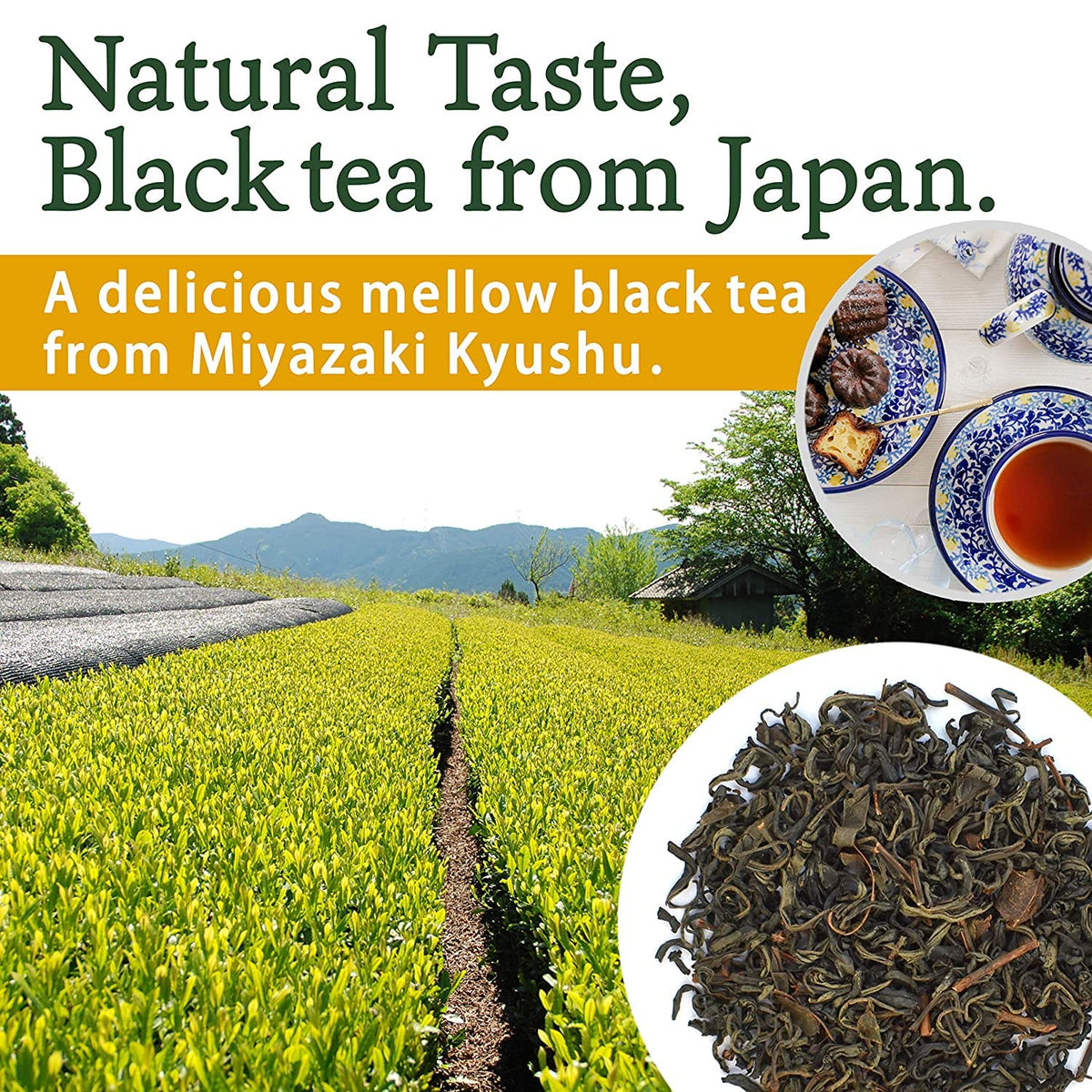 YAMASAN KYOTO UJI brewed tea cup highlights warm color and smooth taste.