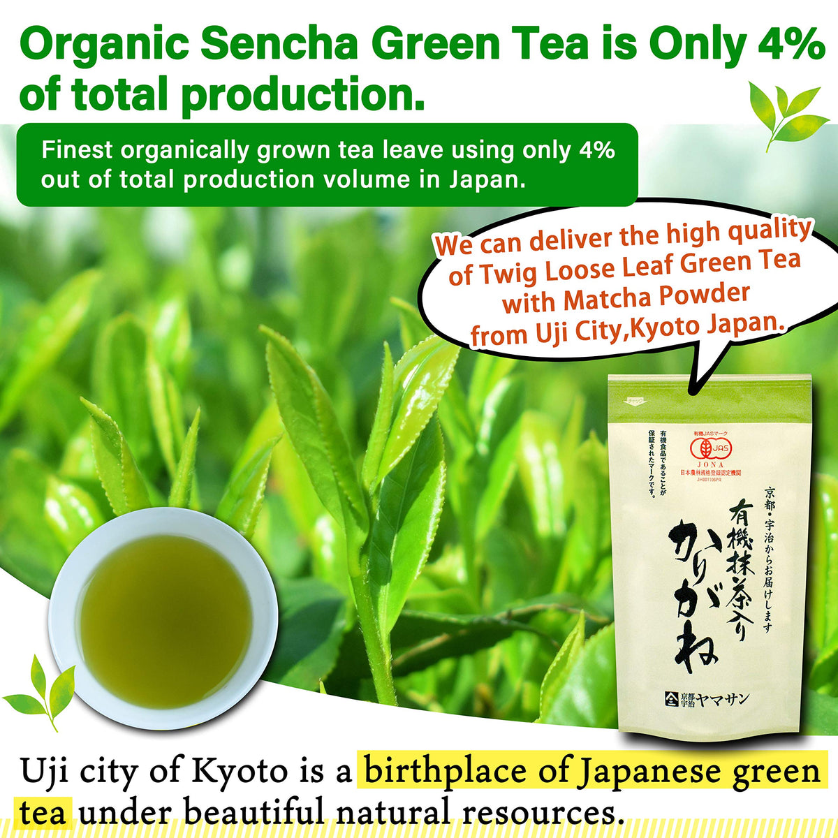 YAMASAN Kyoto UJI Chaganju tea leaves close-up highlights rich sencha aroma.