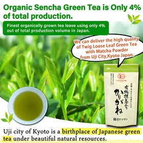 YAMASAN Kyoto UJI Chaganju tea leaves close-up highlights rich sencha aroma.