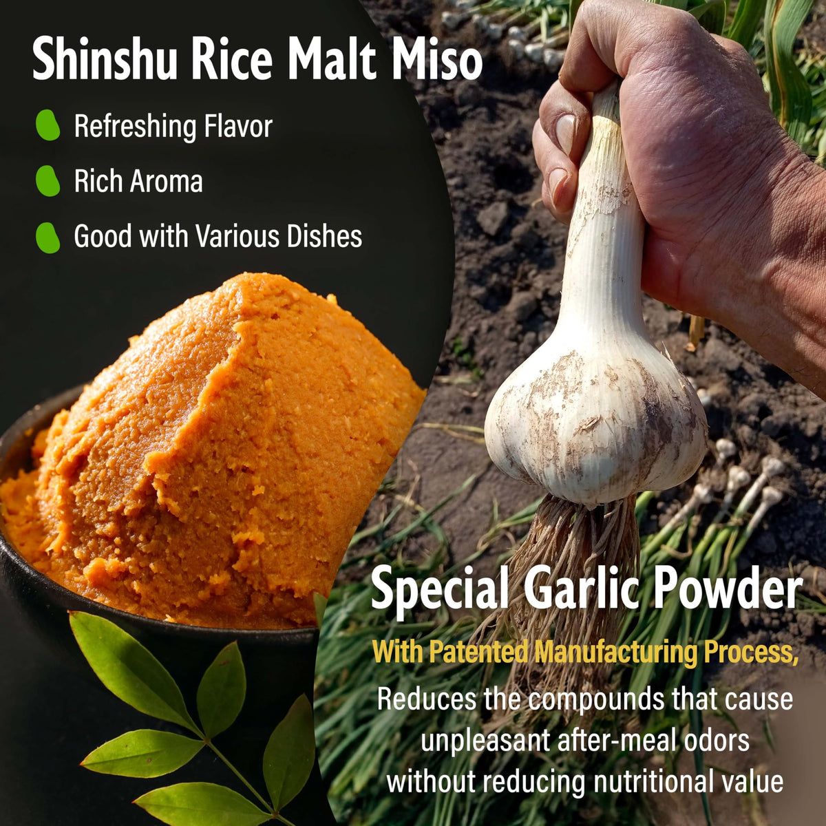 YAMASAN KYOTO UJI garlic powder closeup highlights clean garlic taste with reduced aftertaste