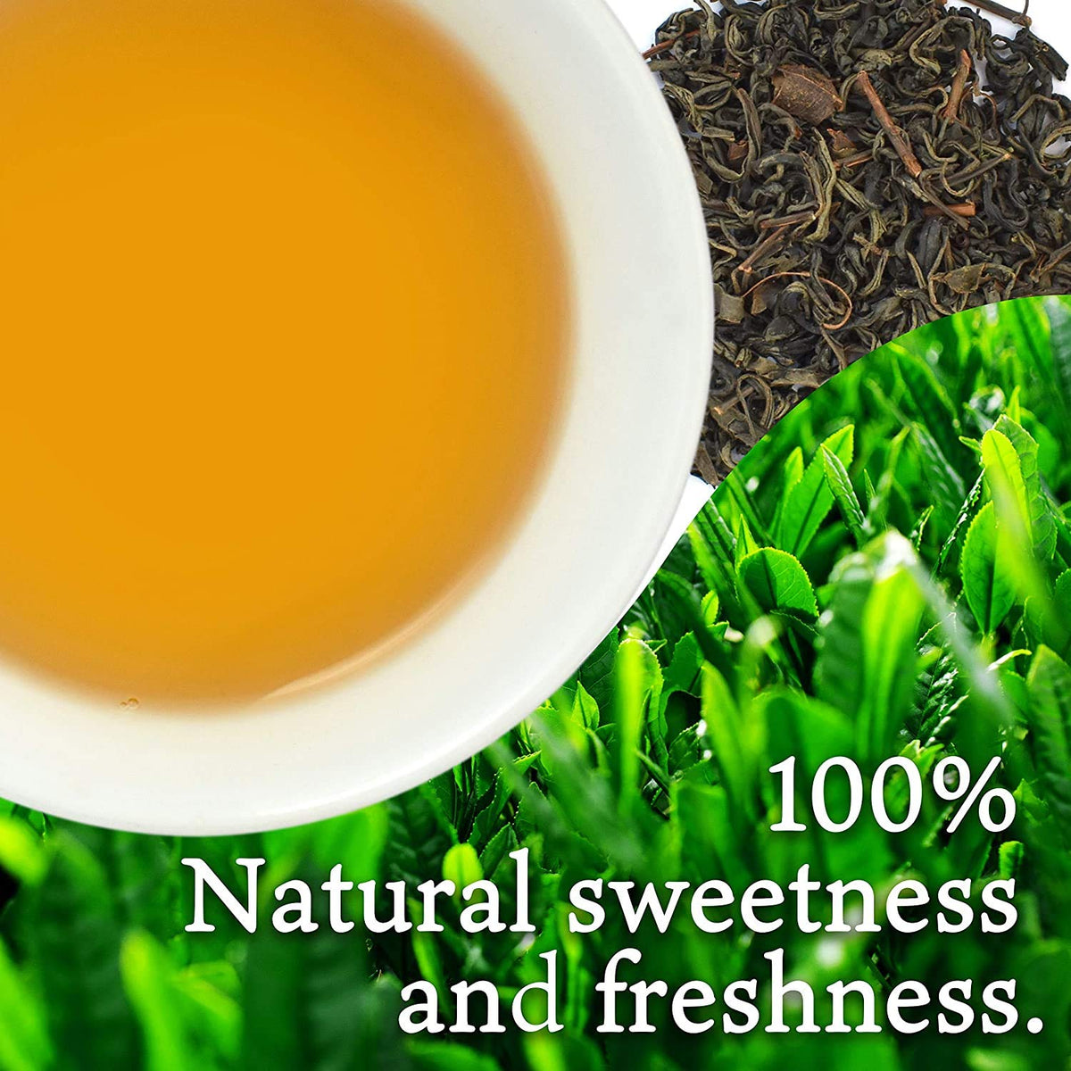 YAMASAN KYOTO UJI loose-leaf tea in cup delivering fragrant aroma for mindful sipping