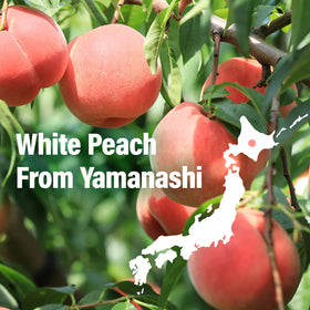 YAMASAN KYOTO UJI oblaat powder coating creates soft surface and aroma.