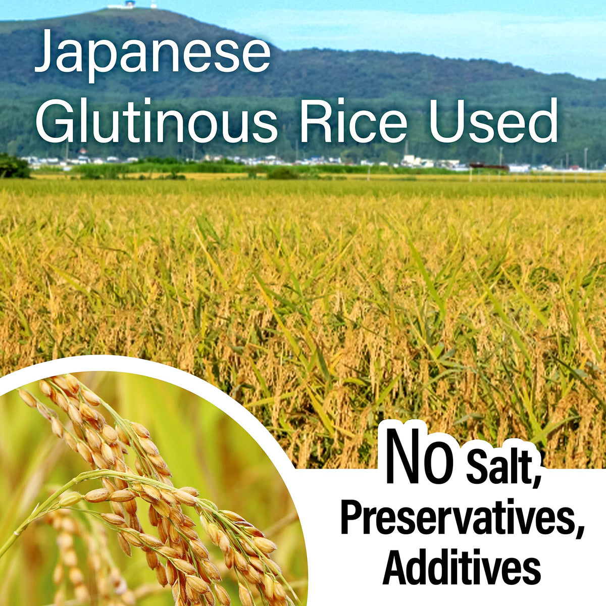 Gluten-free vegan mochi suitable for diverse dish compatibility