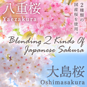 Close-up of Sakura Latte powder being whisked into hot water for creaminess