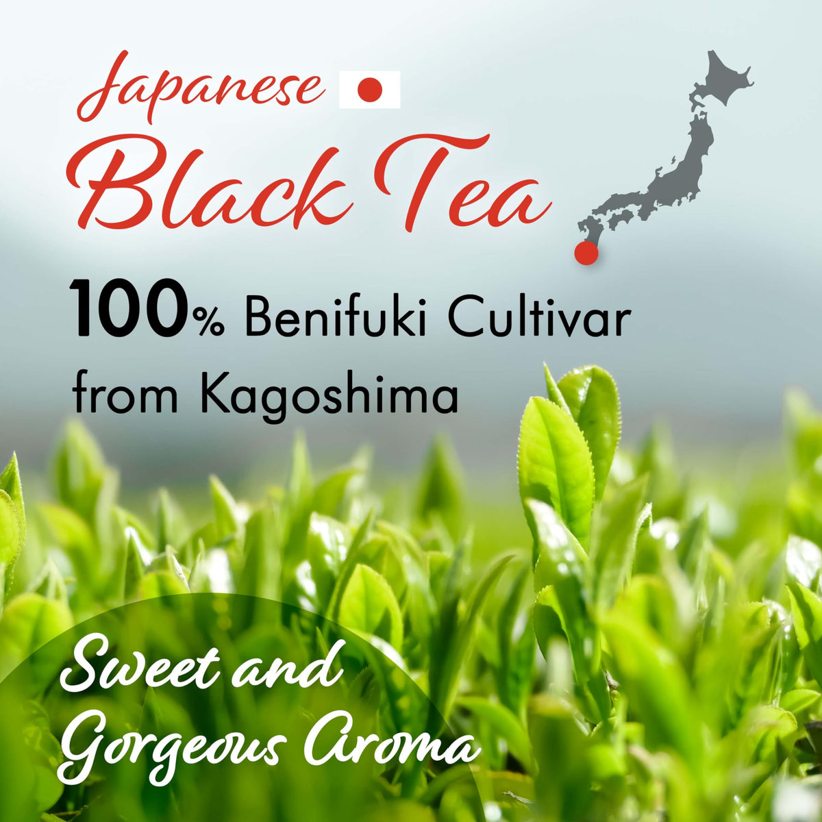YAMASAN KYOTO UJI Sakura Black Tea brewing scene with steam and blossoms signaling easy preparation.