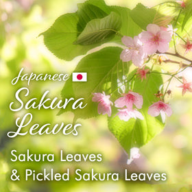 YAMASAN KYOTO UJI Sakura Black Tea packaging shot with sakura accents suggesting premium gift option.