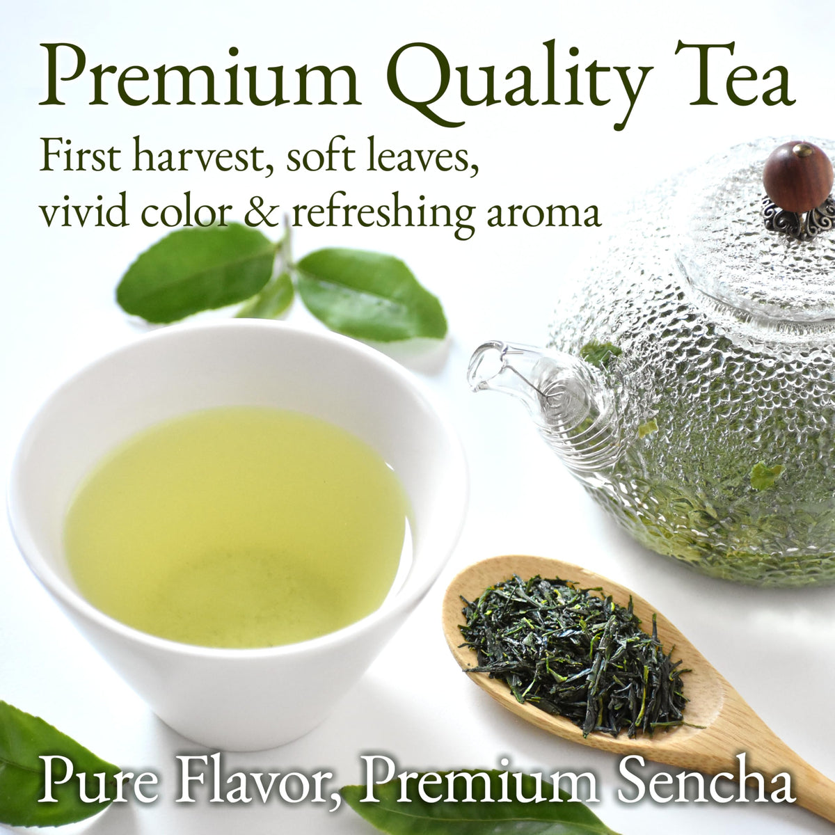 YAMASAN KYOTO UJI sencha hot-brew, easy daily ritual with balanced taste.